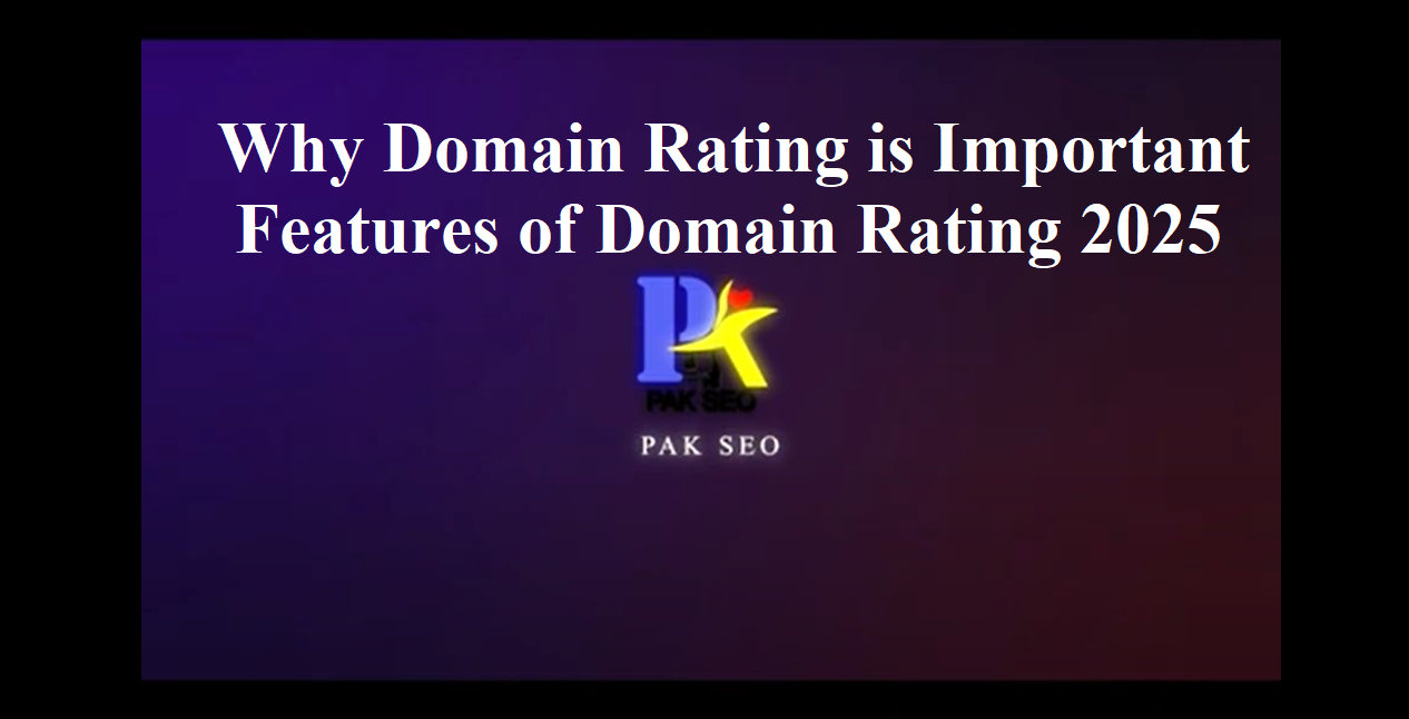 Why Domain Rating is Important - Features of Domain Rating 2025